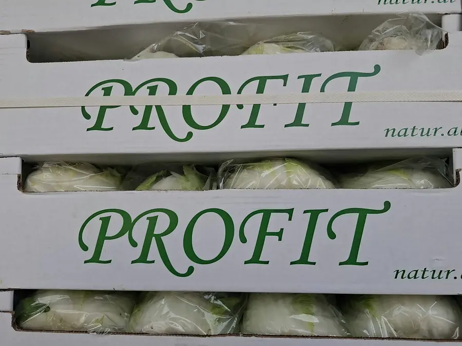 Cajas PROFIT apiladas, vistas de frente