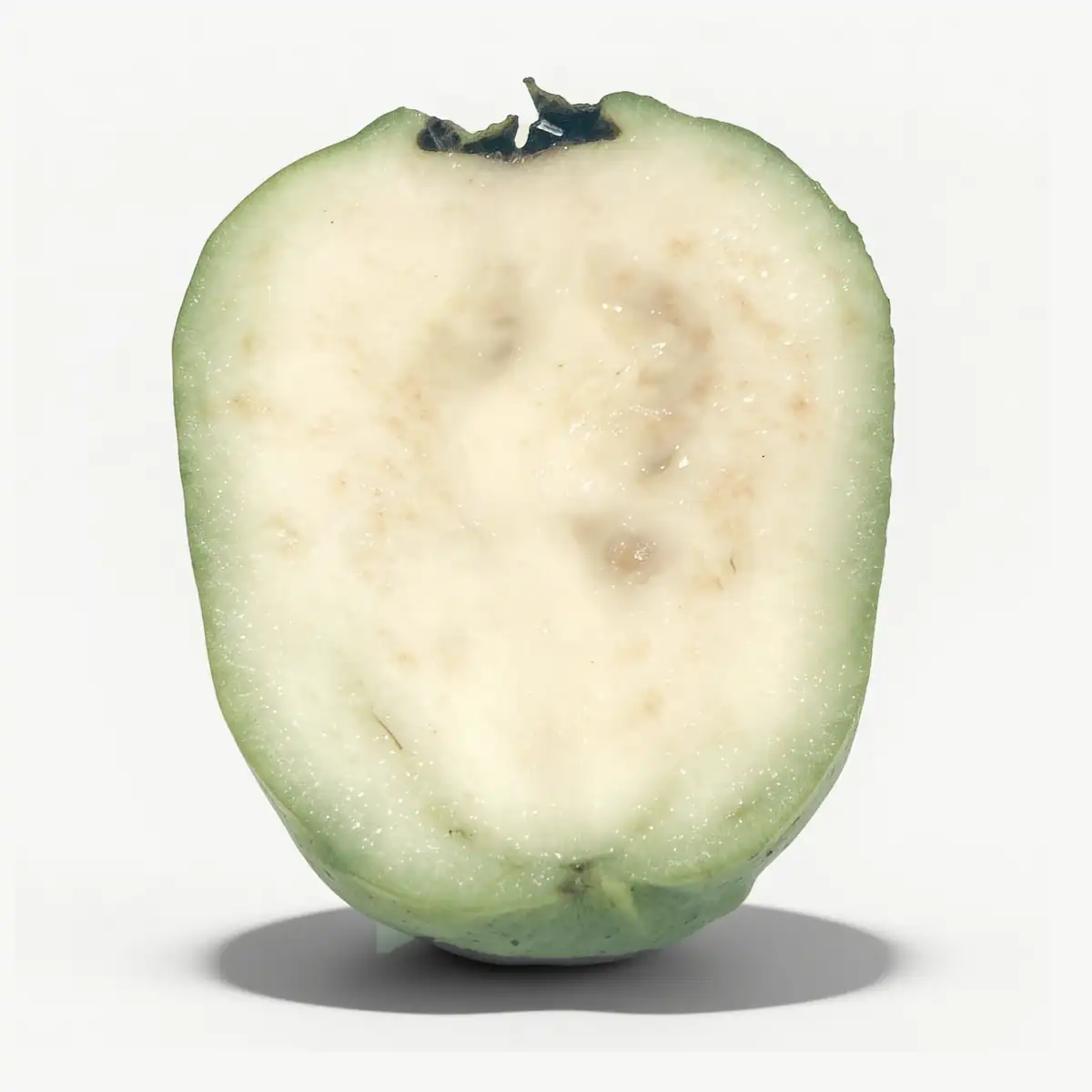 Guayaba blanca cortada a lo largo: pulpa color marfil con pocas semillas visibles y piel verde firme