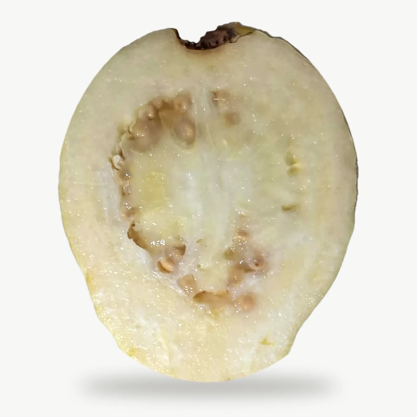 Guayaba limón cortada a lo largo: piel amarilla de tono dorado, pulpa color crema y semillas dispuestas en corona