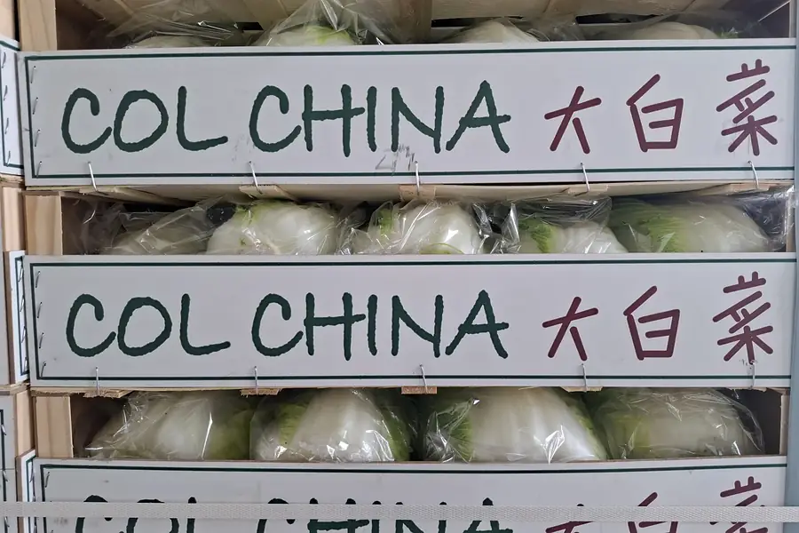 Cajas de col china con los cogollos embolsados