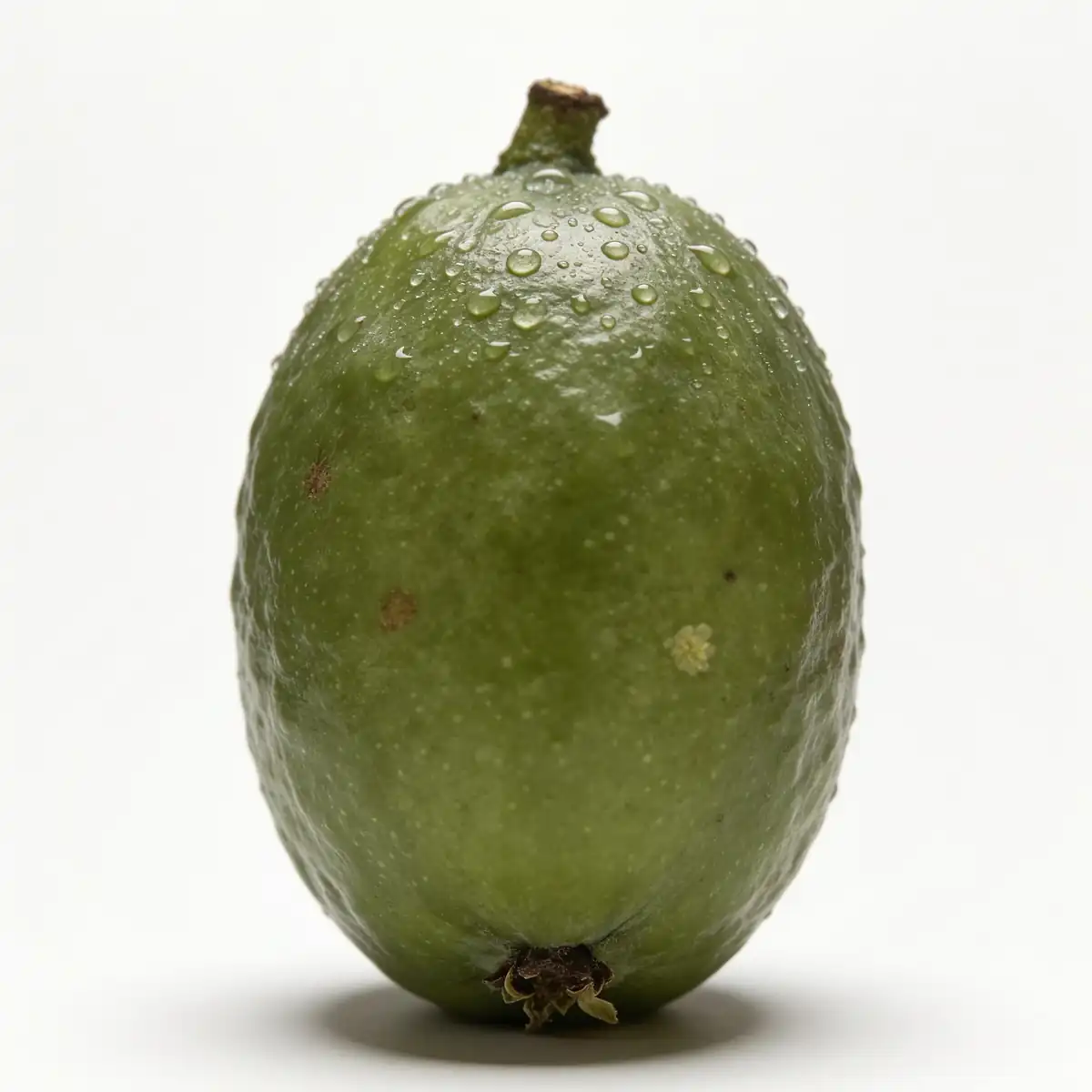 Guayaba entera vista de frente: piel verde oliva mate de grano fino, con el pedúnculo leñoso arriba y el cáliz seco en la base
